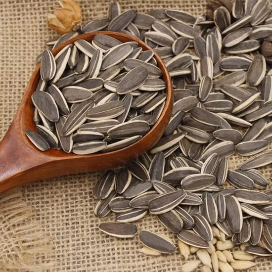 Raw Sunflower Seed New Crop Factory Supply Sunflower Seeds