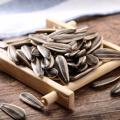 Raw Sunflower Seed New Crop Factory Supply Sunflower Seeds