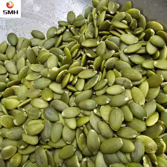 Prezzo competitivo di fabbrica Fornitura all'ingrosso Pelle lucida Nocciolo di semi di zucca