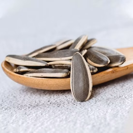 Semi di girasole grezzi Nuova fornitura di semi di girasole per la fabbrica di colture